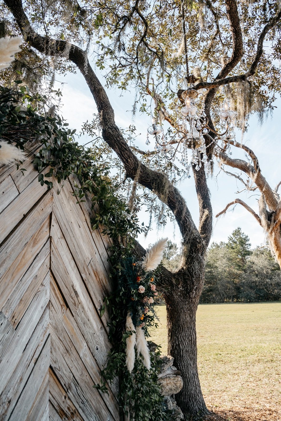 A large tree is decorated with moss and a chandelier in front of a wooden backdrop at ​central florida outdoor wedding venues